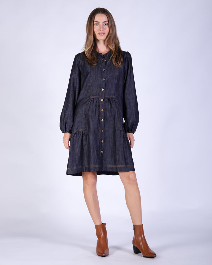Teresa Denim Dress