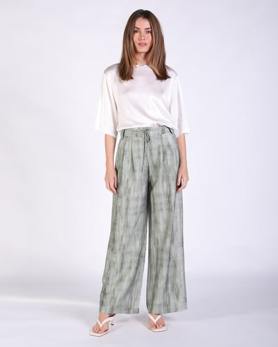 Amy Pant
